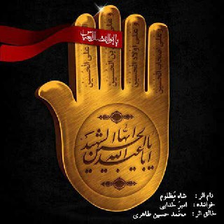 دانلود آهنگ امیر خدایی به نام شاه مظلوم